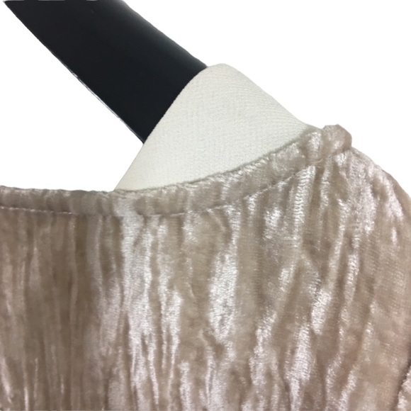 Floreat | Champagne Velvet Shift Dress Short Sleeve Front Pockets Size Small - Picture 4 of 9